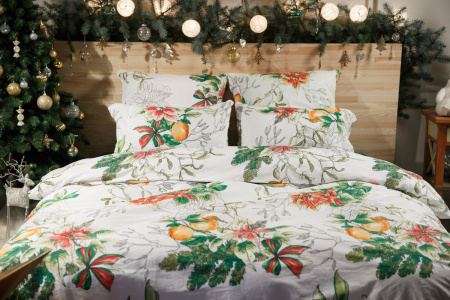 2e26f14a-8e37-46ac-bf2e-0020a395b89d